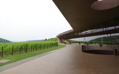 Visita alla cantina Antinori
