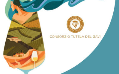 Gavi: il Cortese che non ti aspetti!