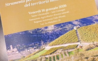 Enoturismo di montagna: a Saint-Christophe si guarda al futuro del vino valdostano