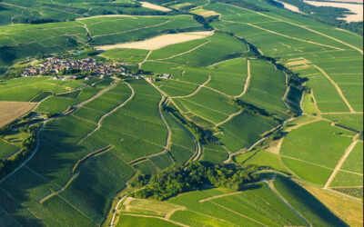 Semplicemente Chablis!