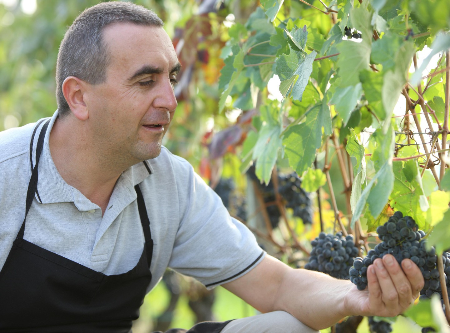 Il Barolo secondo Parusso